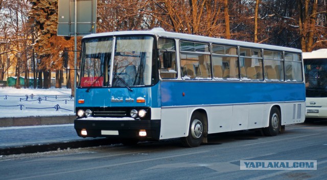 Тест-драйв автобуса Икарус-256