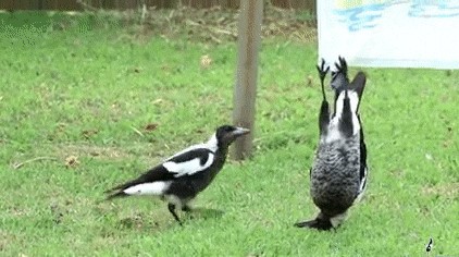 Когда твой друг шибанутый на всю голову