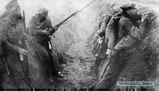 «Отрава века» или открытие доктора Шрадера