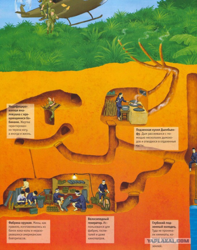 Муравьиное братство: пьяные оргии, «Поза чемоданчика» и «Не пади врагу»