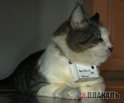 КПМ-Экшн от первого лица