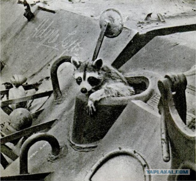 Wargaming 36