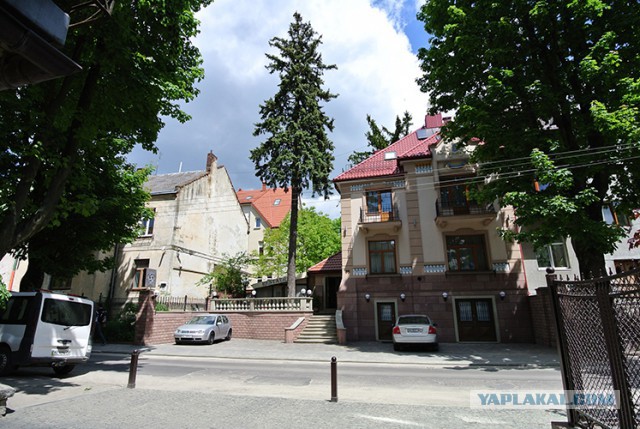 Украина, Донбасс, Крым. Я узнал правду
