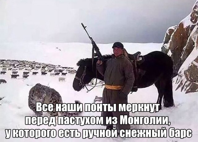Картинки с букофками