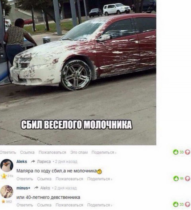 Перлы и высказывания