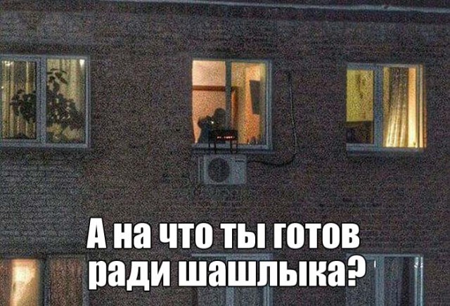 Подборка безудержного веселья