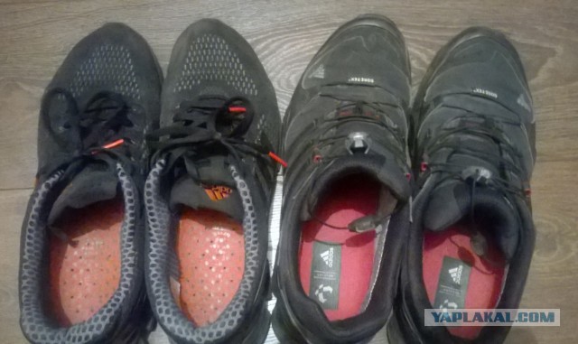 Adidas продолжит закрывать магазины в России