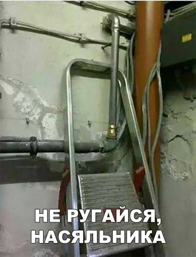 184 картинки для поднятия настроения!