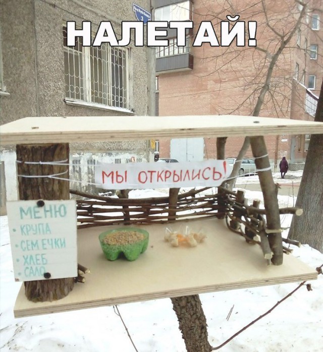 Нестандартный юмор