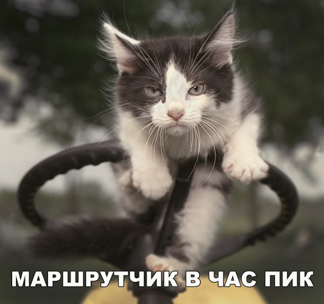 Нестандартный юмор