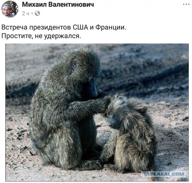 Смешные комментарии из социальных сетей 27.04.2018