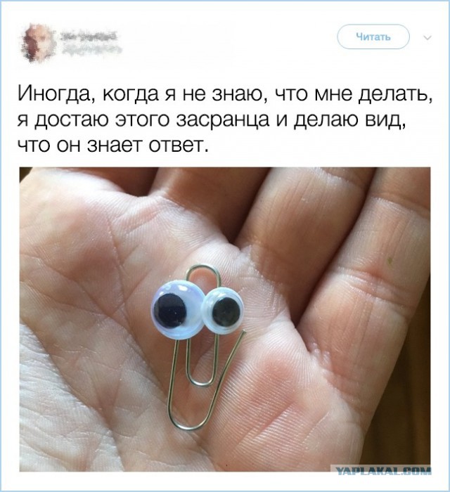Смешные комментарии из социальных сетей 24.08.2018