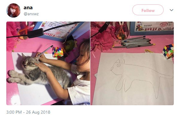 Девочка не знала, как нарисовать кошку, и просто обвела ее. Кошка в шоке, а картинка стала мемом про неудачное копирование