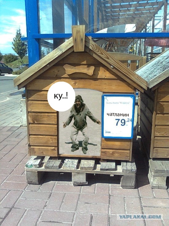 К будке прилагается злой сторож