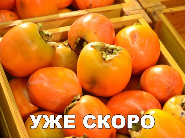 Прикольные картинки абавсём