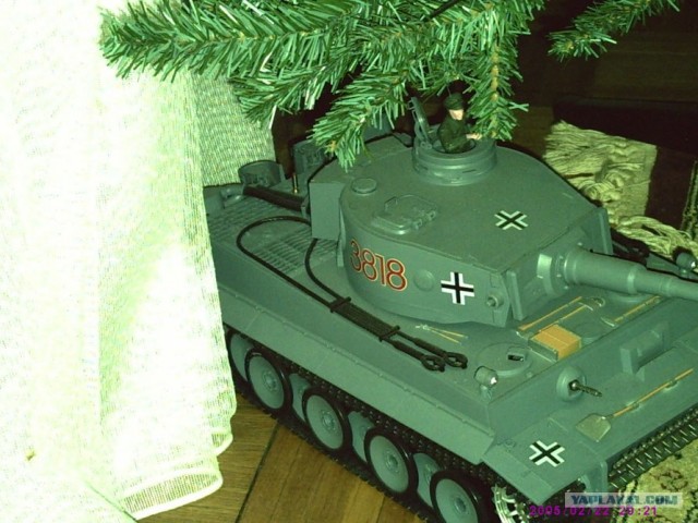 Собаки