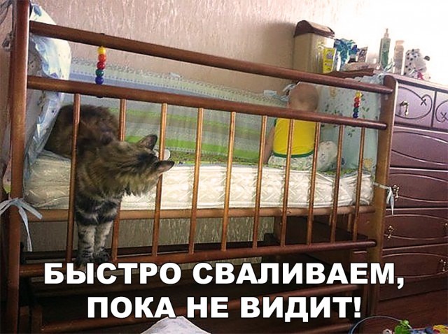 Немного милоты