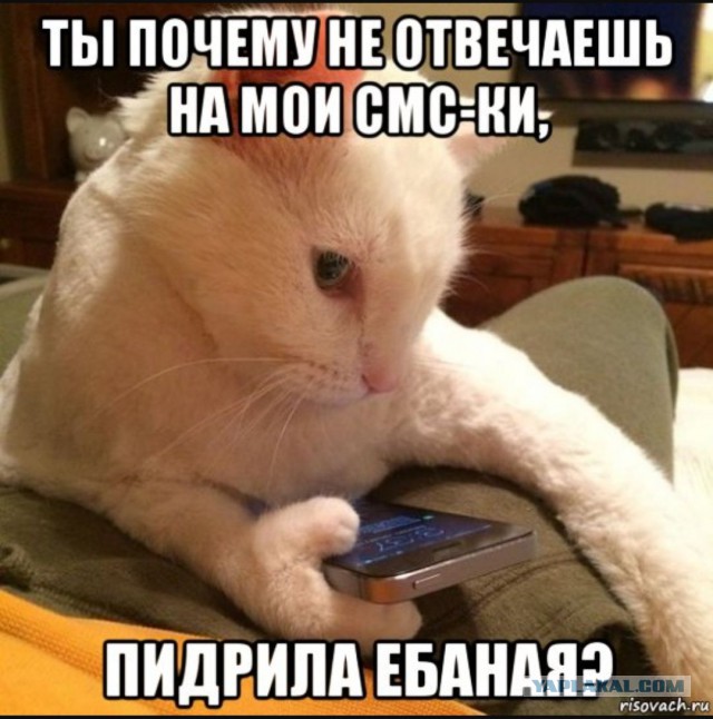 Как-то всё в кучу