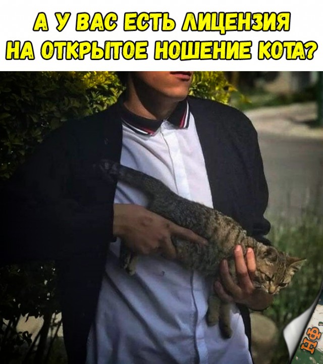 Нестандартный юмор