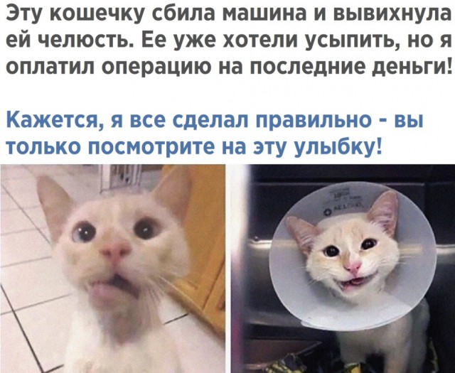 Среда... Однако, здравствуйте!