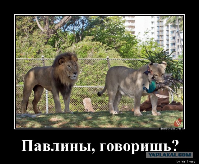 9 правил, как надолго сохранить любовь мужчины
