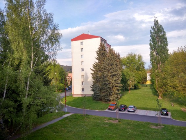 Лето, делимся видом из окна
