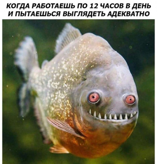 Немного картинок для настроения