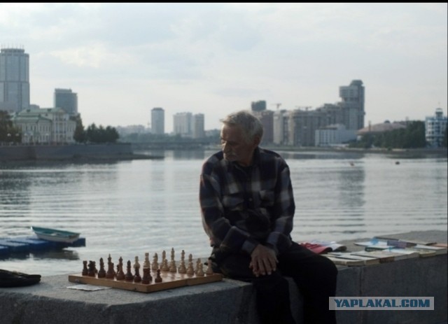 Дедушка каждый день ждет, чтобы к нему кто-то пришел поиграть в шахматы