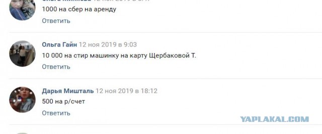 Помогите вернуть кота! Приют "Преданное сердце" украл кота и не отдает!-2