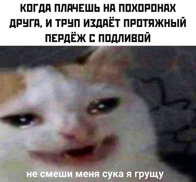 Здесь вам не рады