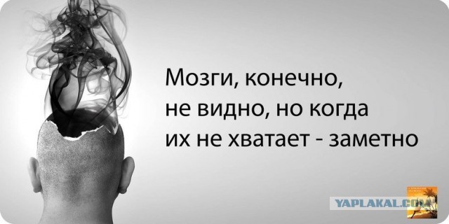 Мара Багдасарян решила обратиться к Путину из-за "заговора"