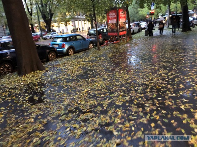 Как мы отметили день рождения супруги и 25 лет совместной жизни