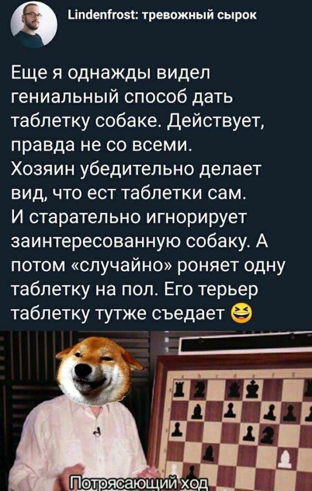 Картинки с надписями и без
