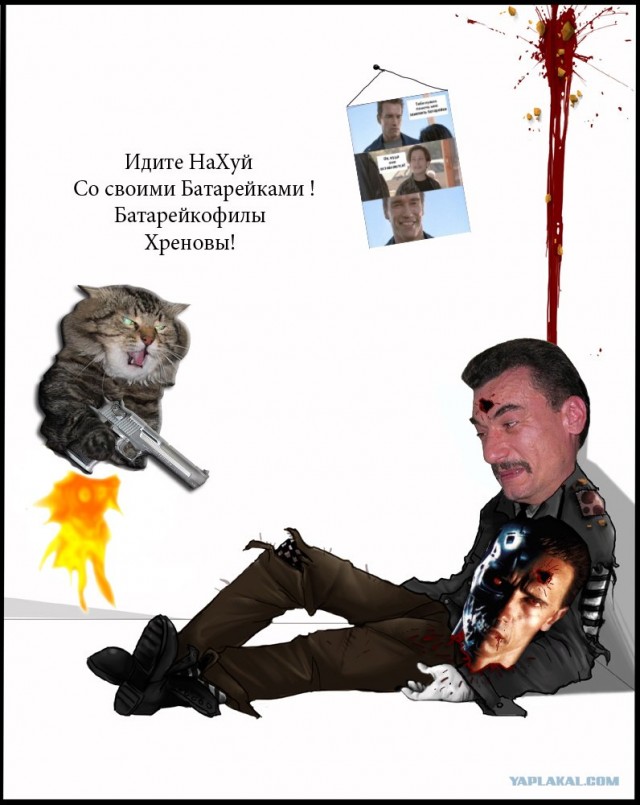 Злой кот