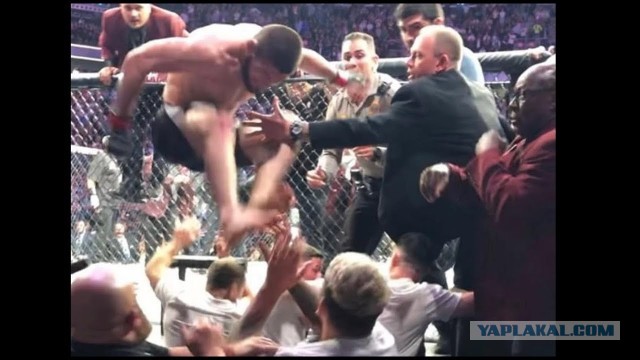 Хабиб vs Мак Грегор