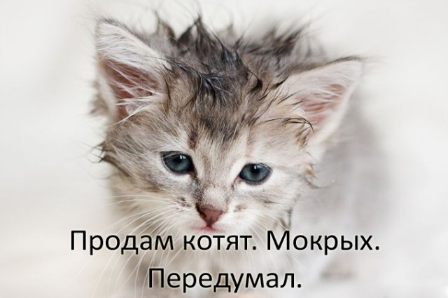 Конец света