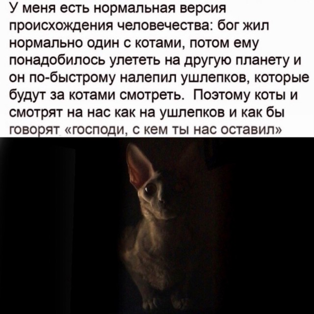 "Опять 25" 13.12.20