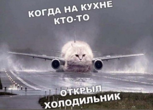 Картинки и мемы для настроения 030