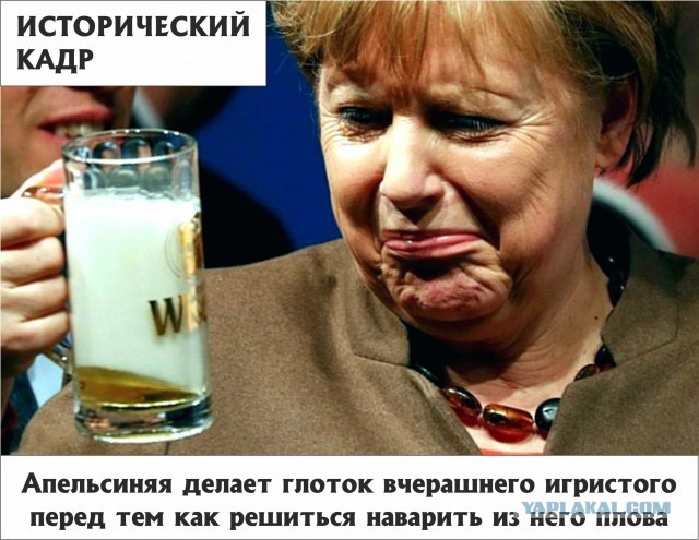 Плов новогодний игристый