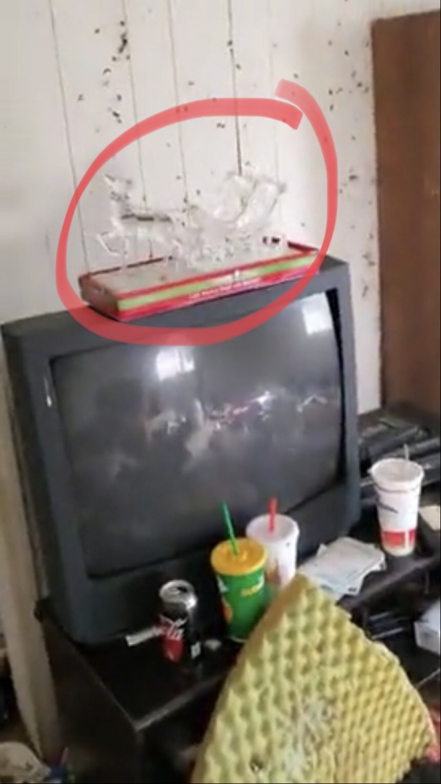 Цыгане жильё снимали
