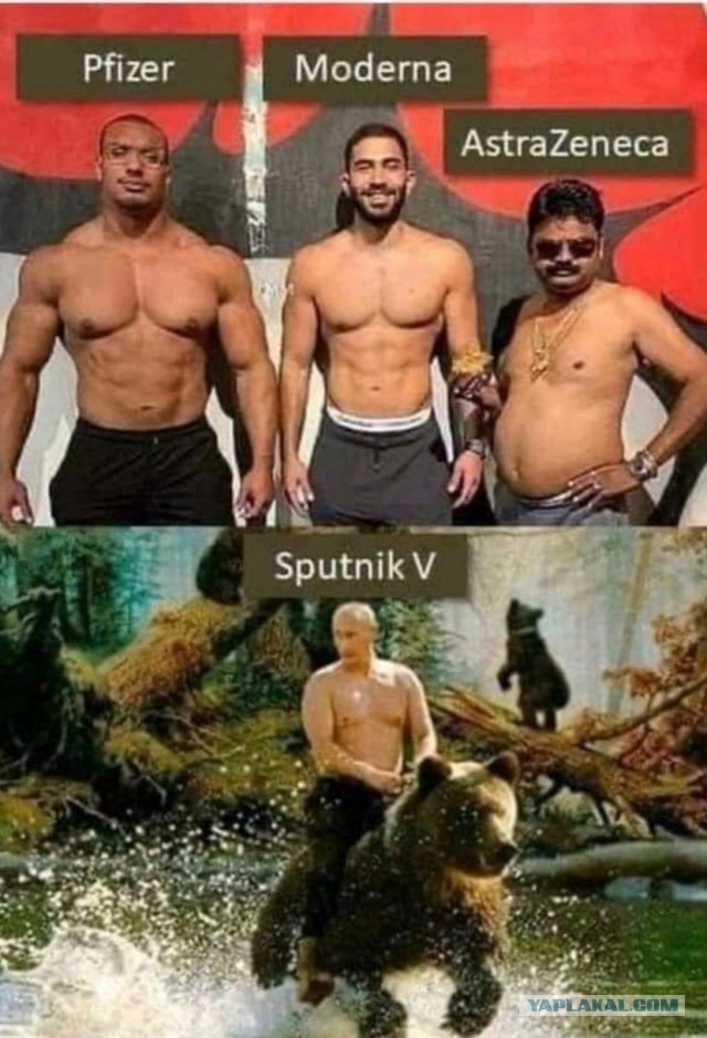COVID и Украина