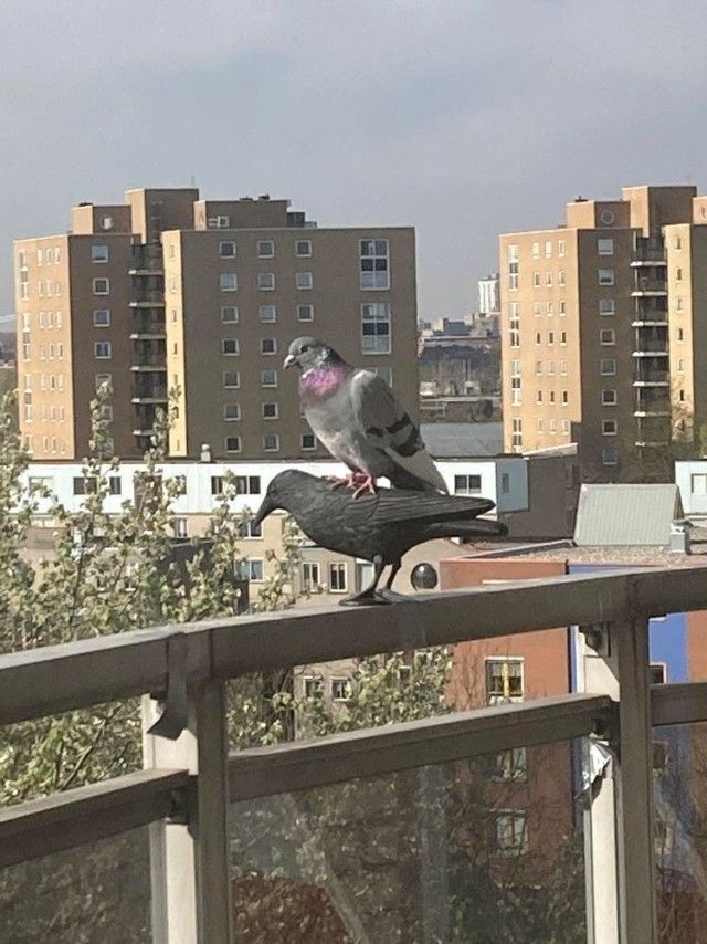 Забавные и увлекательные фото с позитивным зарядом для молниеносного поднятия настроения