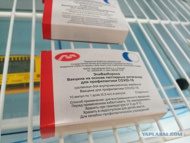 Вакцинация по-московски