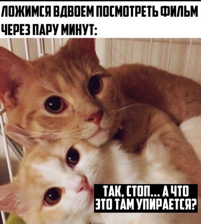 Пятница. И немного слегка пошлых картинок с надписями и без 16+ (30.07))