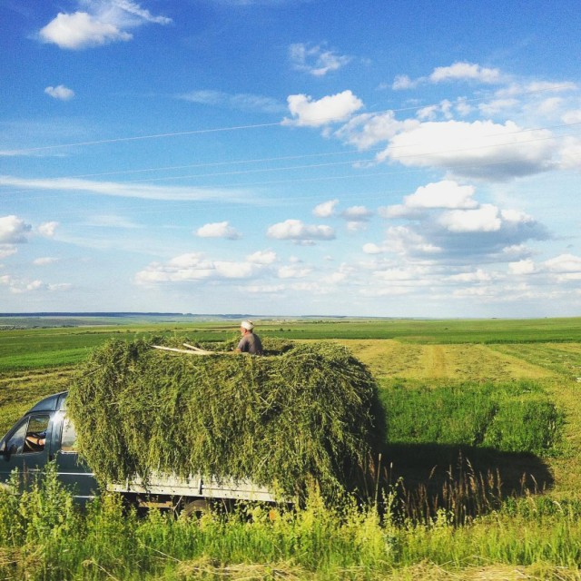 Атмосферных деревенских картинок пост