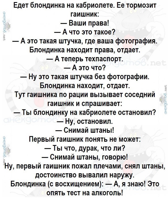 "Так ее уже не спасти, шприц для эвтаназии давай!"