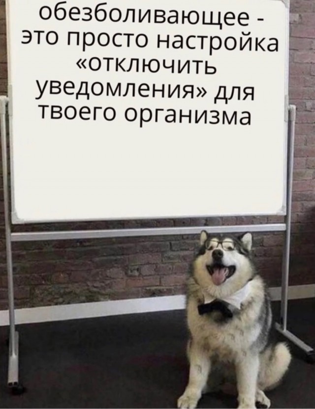 Немного пятничных и где то смешных картинок