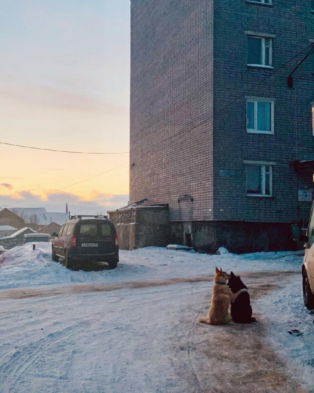 Калейдоскоп картинок