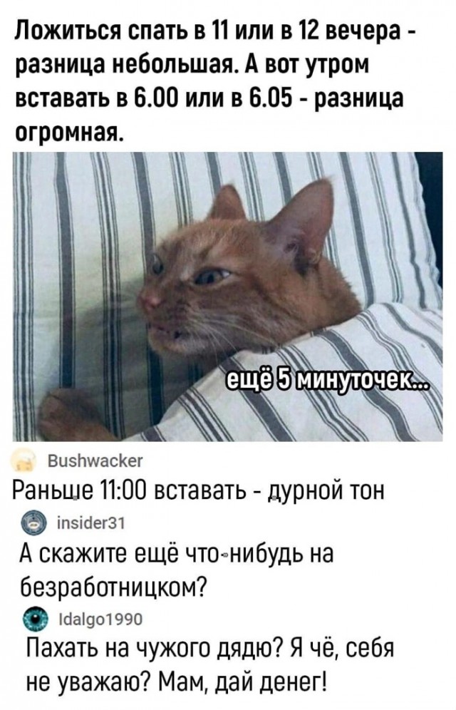 Так себе картинки 10.07.22