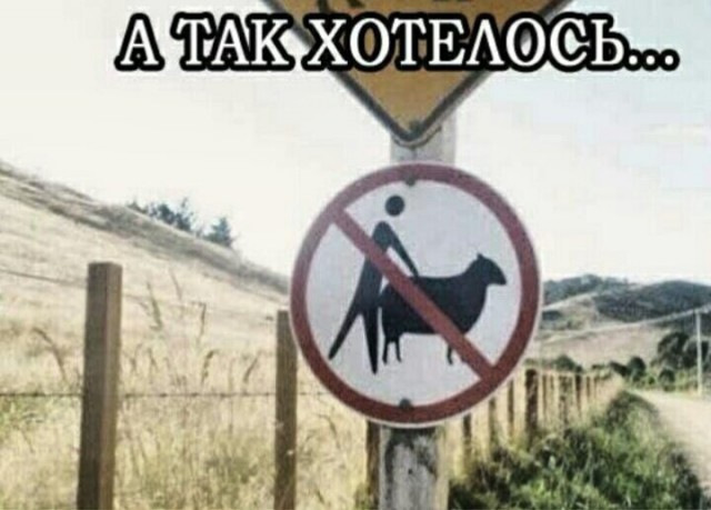 Юмор в картинках и без